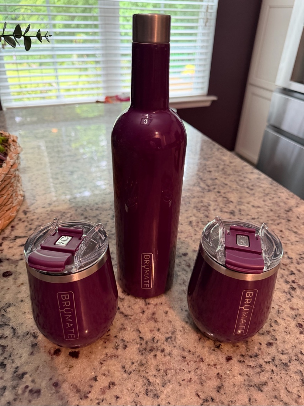 BrüMate Plum Insulated Wine Bottle and 2 Tumblers Set